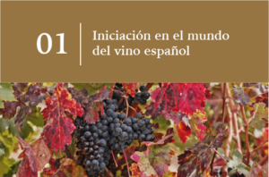 Iniciación en el mundo del vino español