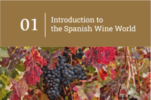 Introduction to the world of Spanish wine