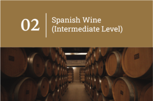 The Spanish wine (intermediate level)