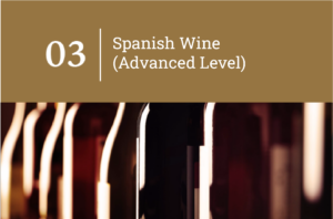 The Spanish wine (advanced level)